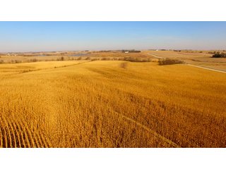 Property photo 7 - LAND AUCTION - 664+/- ACRES OFFERED IN 17 TRACTS IN CASS CO., NEBRASKA